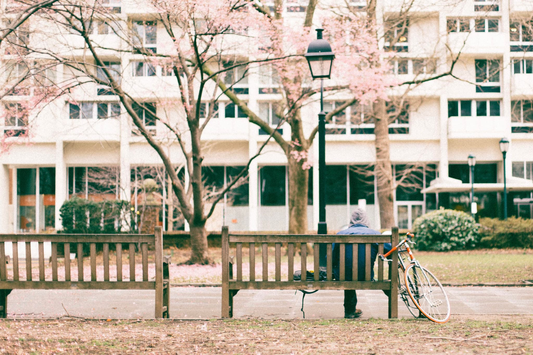 Silent Pause
